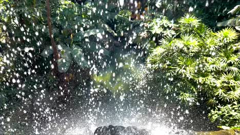agua en cascada sobre las rocas en la vegetación exuberante