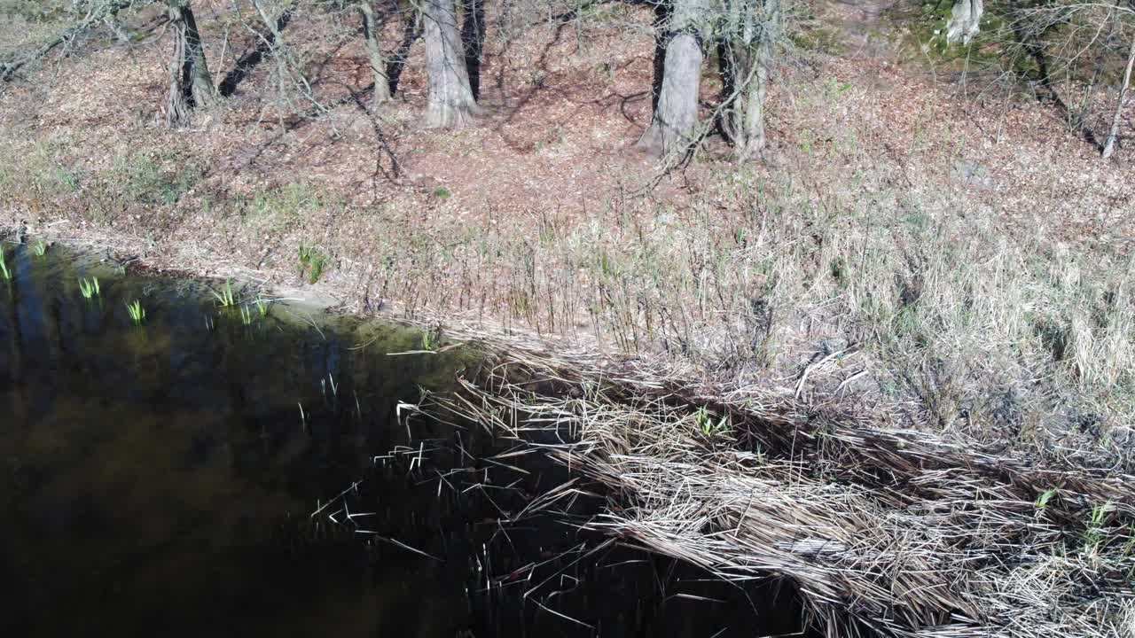 오토민 호수 샷