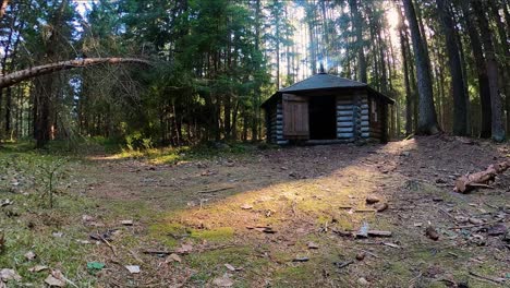 a small fire burns inside a cabin in the middle of the forest