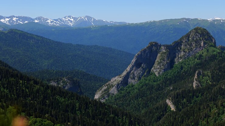 Veduta paesaggistica panoramica delle valli e delle foreste delle Montagne del Caucaso, in una serata di sole.