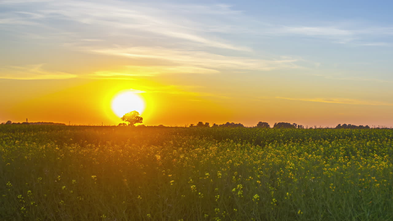 아름다운 일몰 타임스 라트비아 시골