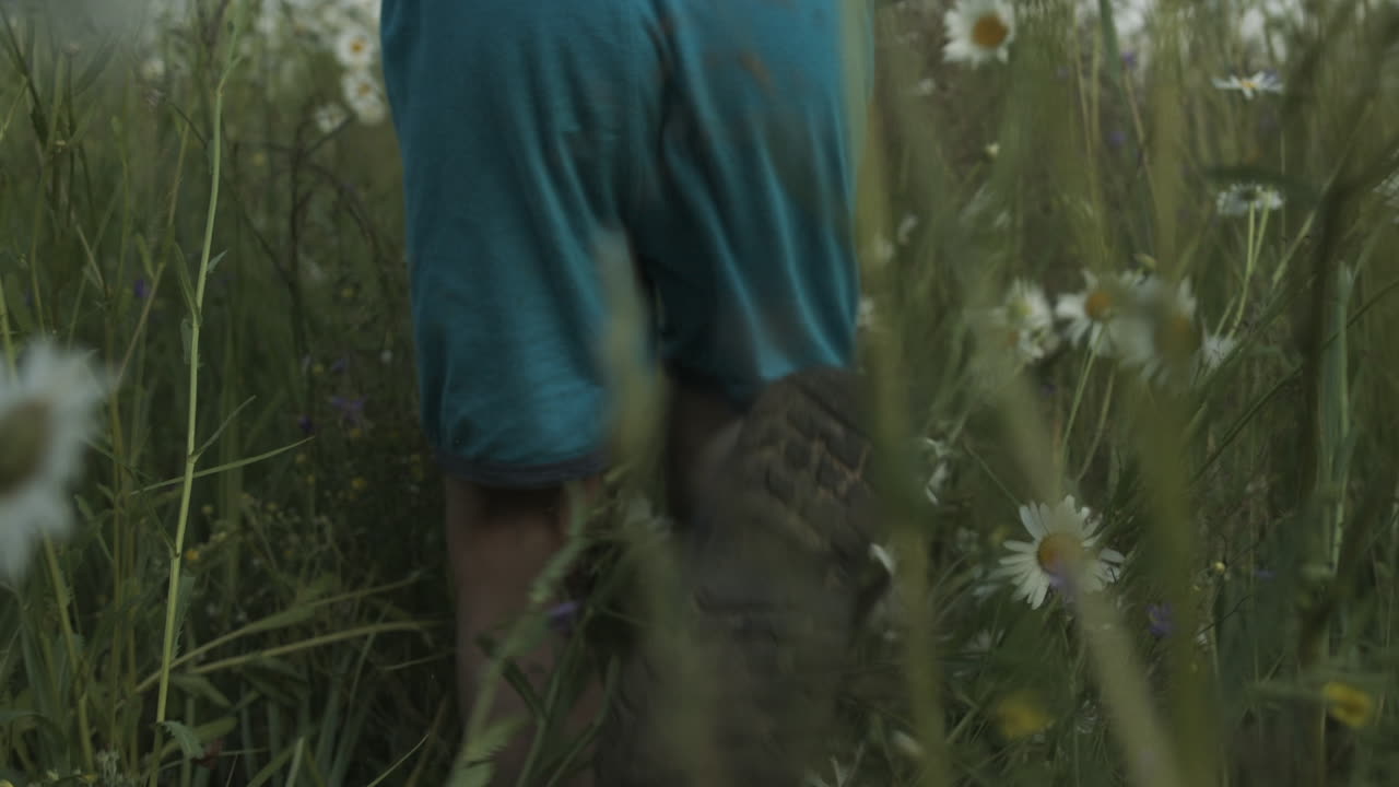 사탕수수 들 을 가로질러 달리는 아이