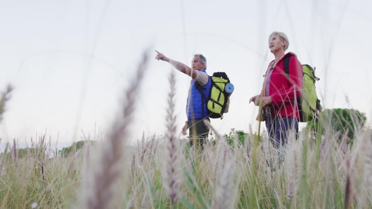 pareja de excursionistas mayores con mochilas apuntando hacia una dirección mientras están de pie en el campo de hierba.