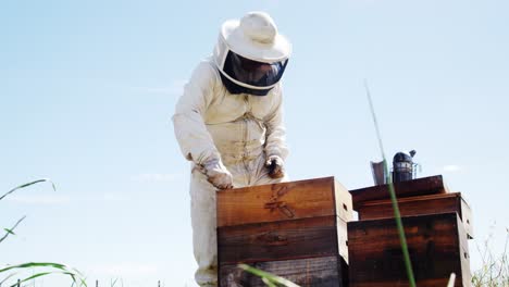 beekeeper examining beehive