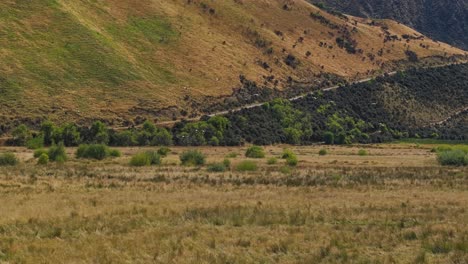 Flock-of-ducks-soar-into-frame-above-wetlands-in-Otago-region-of-New-Zealand