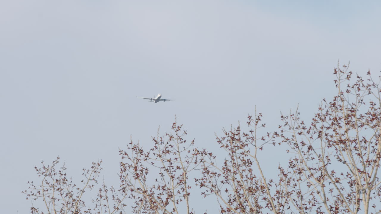하늘 에 있는 비행기