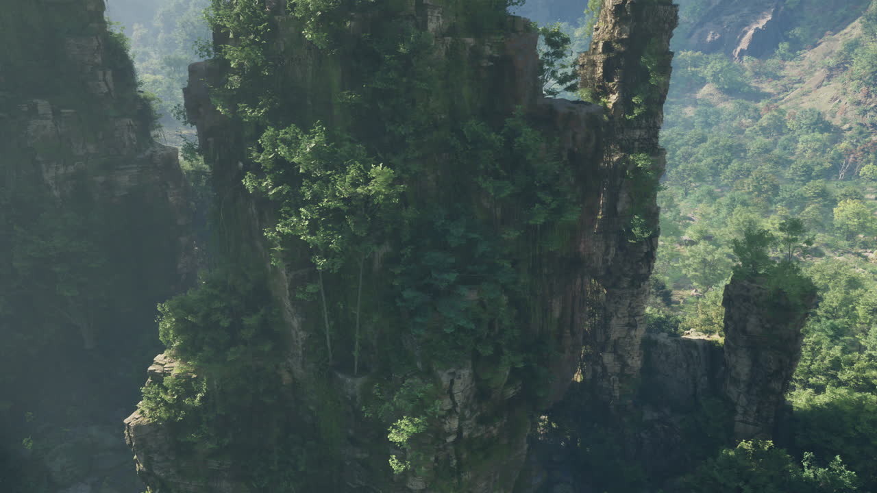 울창 한 정글 의 높은 절벽