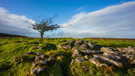 Timelapse-of-rural-nature-farmland-with-single-tree-and-field-ground-rocks-in-the-foreground-during-cloudy-sunny-day-viewed-from-Carrowkeel-in-county-Sligo-in-Ireland