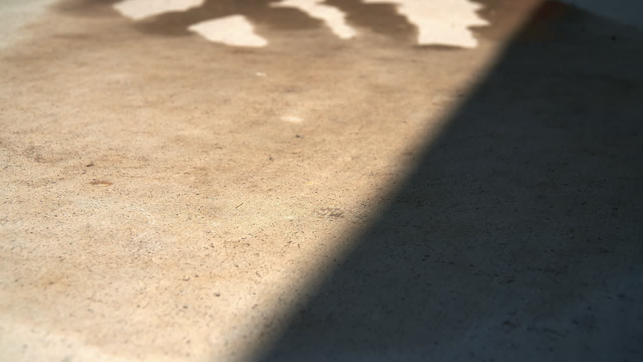 뜨거운 보도에서 건조되는 물의 저속 촬영