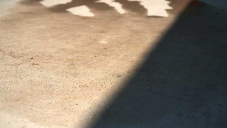 Timelapse of Water Drying on Hot Sidewalk