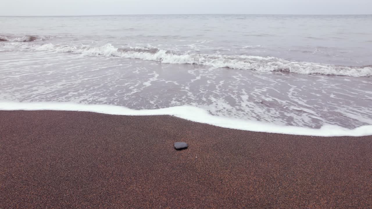 Scenic Tropical Beach with Palm Trees and Lava Rocks in São Tomé and Principe