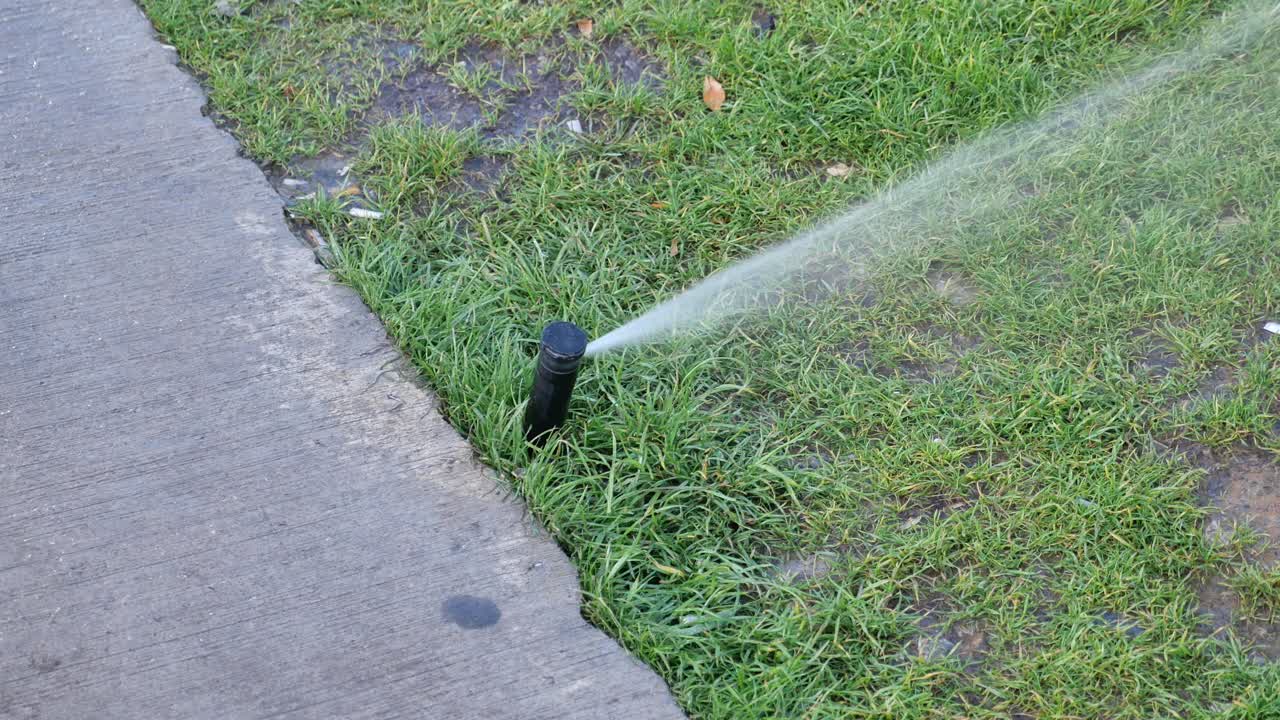 Irrigazione dell'erba con sprinkler