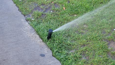 sprinkler watering grass