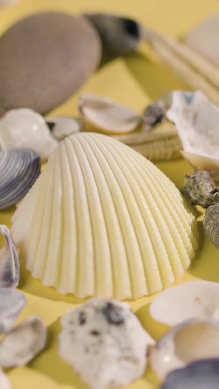 Vertical Video Pollution Concept With Plastic Bottle Rubbish Shells Starfish On Beach Environment