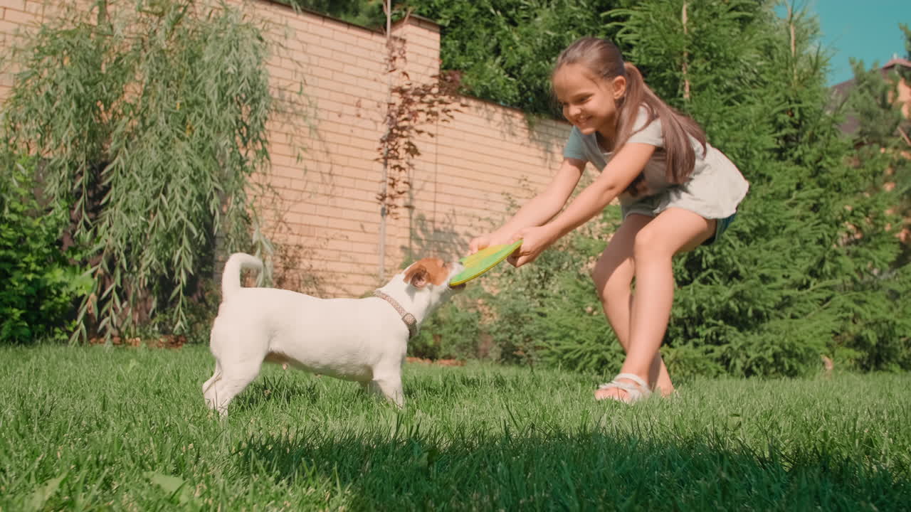 Joyful Girl Playing With Dog In Backyard