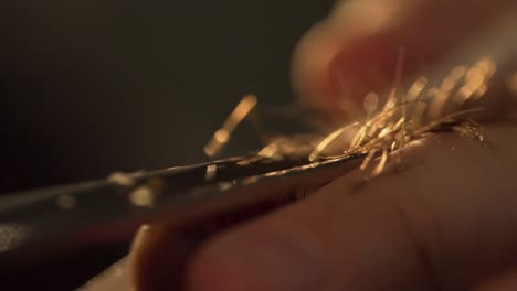 close-up of a beard being shaved