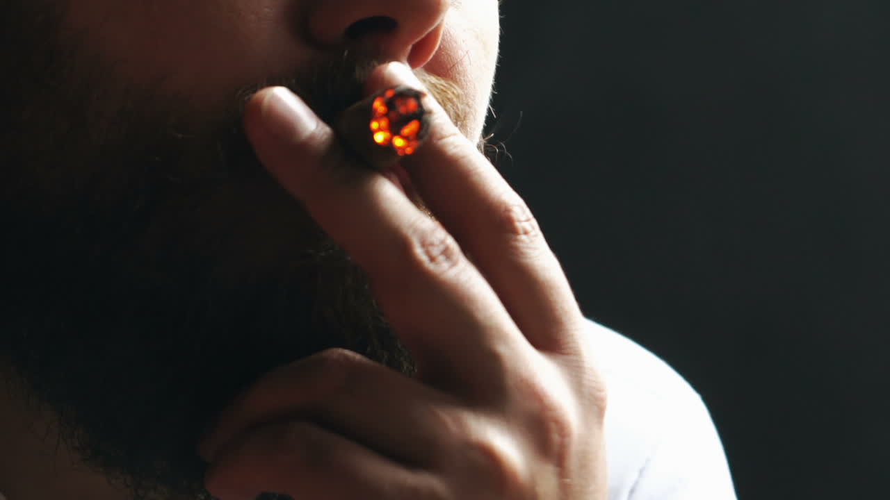 Brutal man smoking cigar. Handsome bearded man on serious face holding cigar in studio