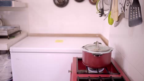 mujer hispana madura cocinando comida en una sartén en la estufa