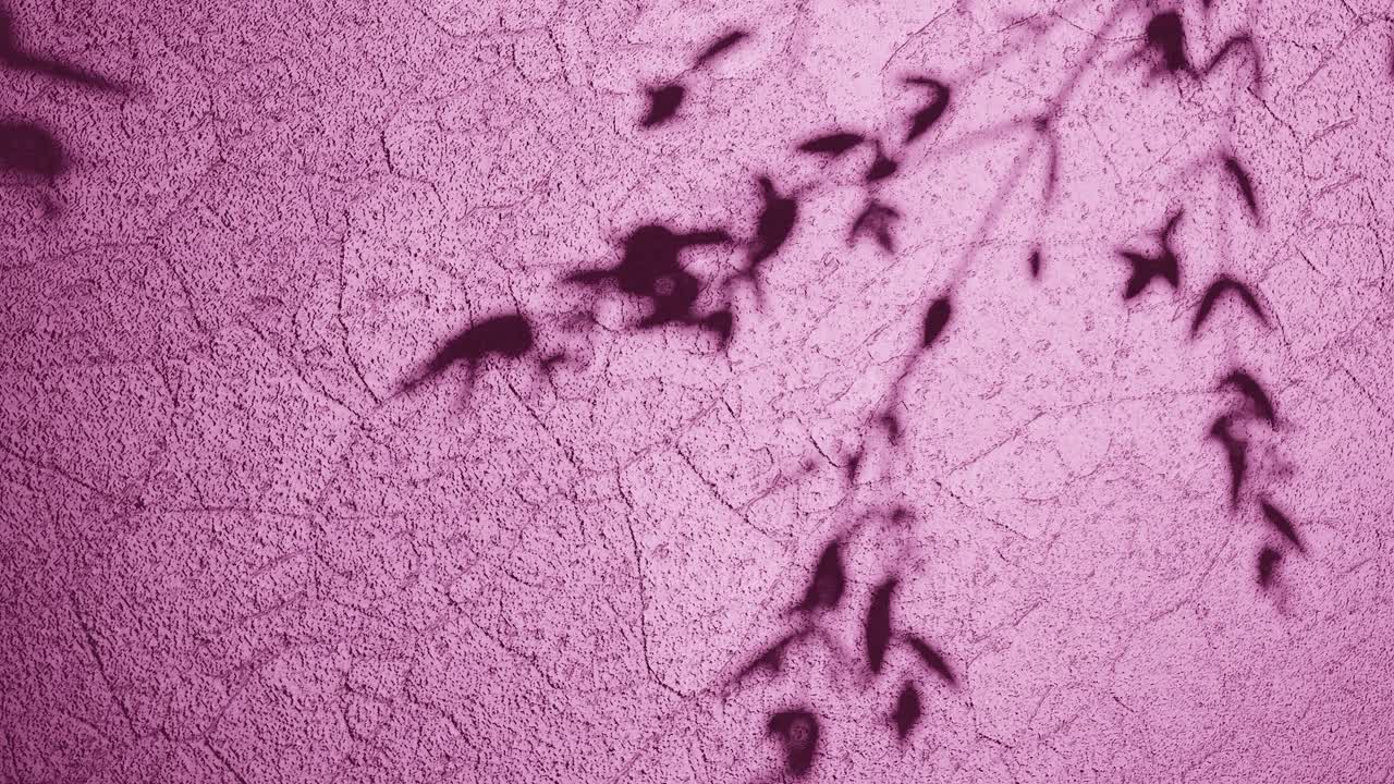 sombras de la naturaleza en una superficie de textura rosada