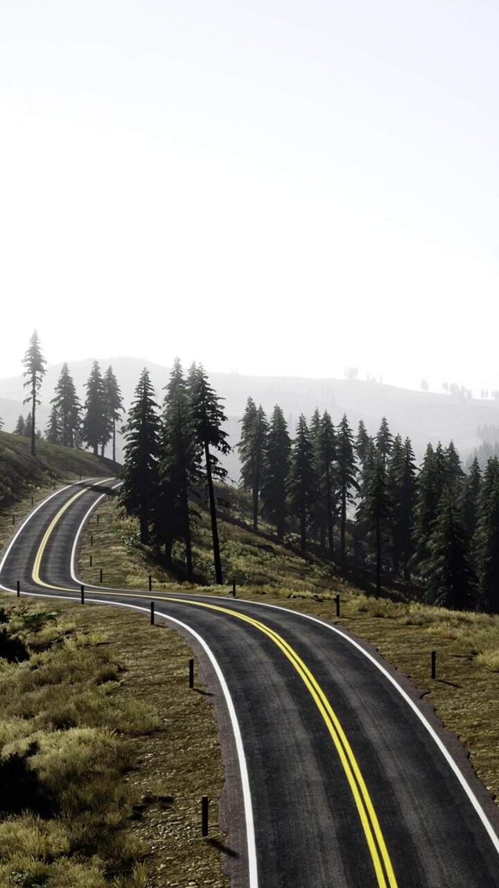 Strada curva attraverso gli alberi in un paesaggio collinare durante le ore diurne