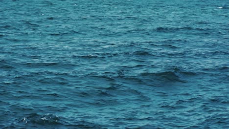 pond surface background. background shot of aqua sea water surface
