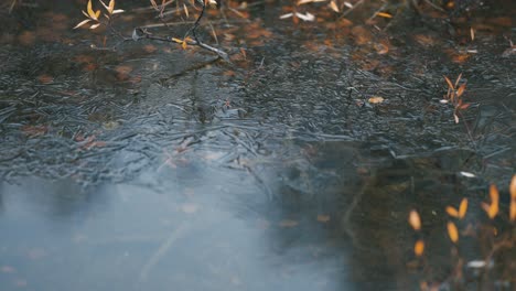 Una-Fina-Película-De-Hielo-Se-Forma-En-El-Agua