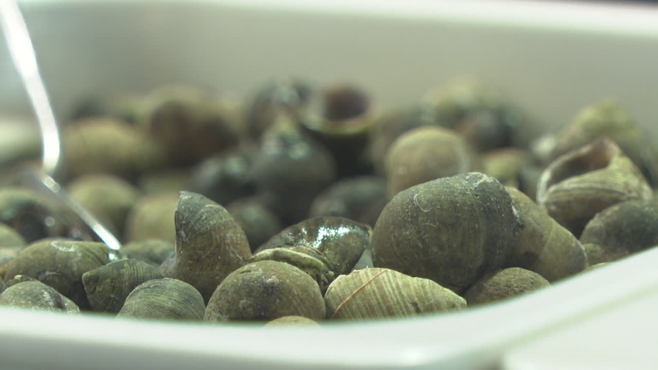 Prepared Sea Snails in a Dish