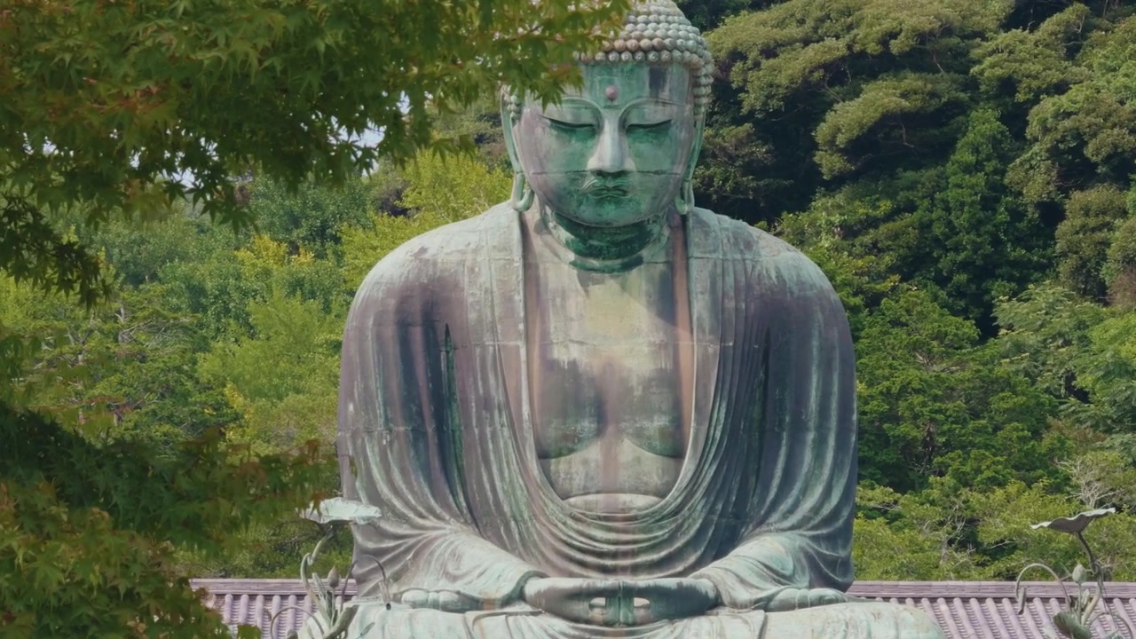 The iconic Kamakura Daibutsu gradually emerges from behind green leaves during a smooth lateral camera move, creating a layered view of the famous bronze Buddhist landmark at Kotoku-in.