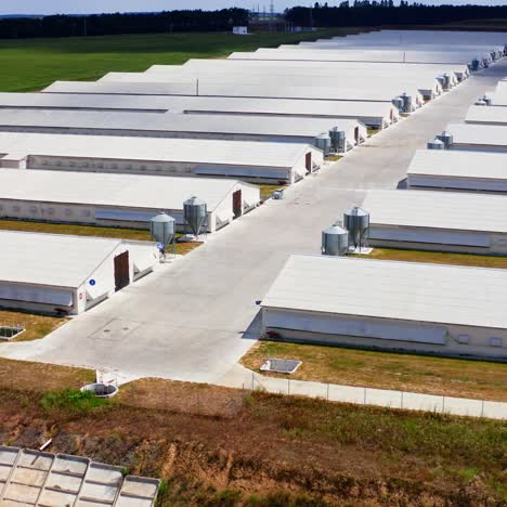 line of storehouses in green field on summer day. warehouses for agricultural needs. countryside industry. rural place. farming facilities