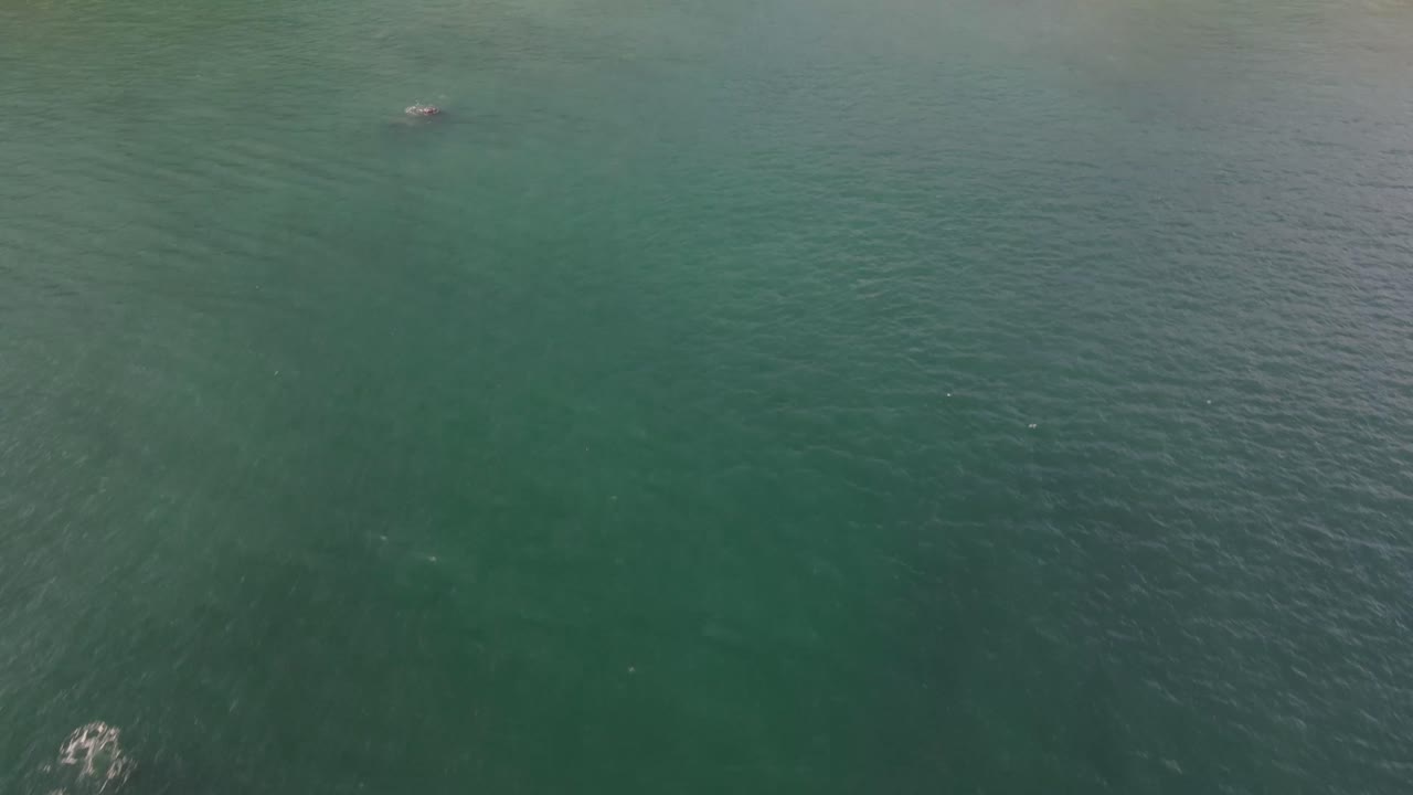 해안을 향해 바다를 날리는 드론 공중 촬영