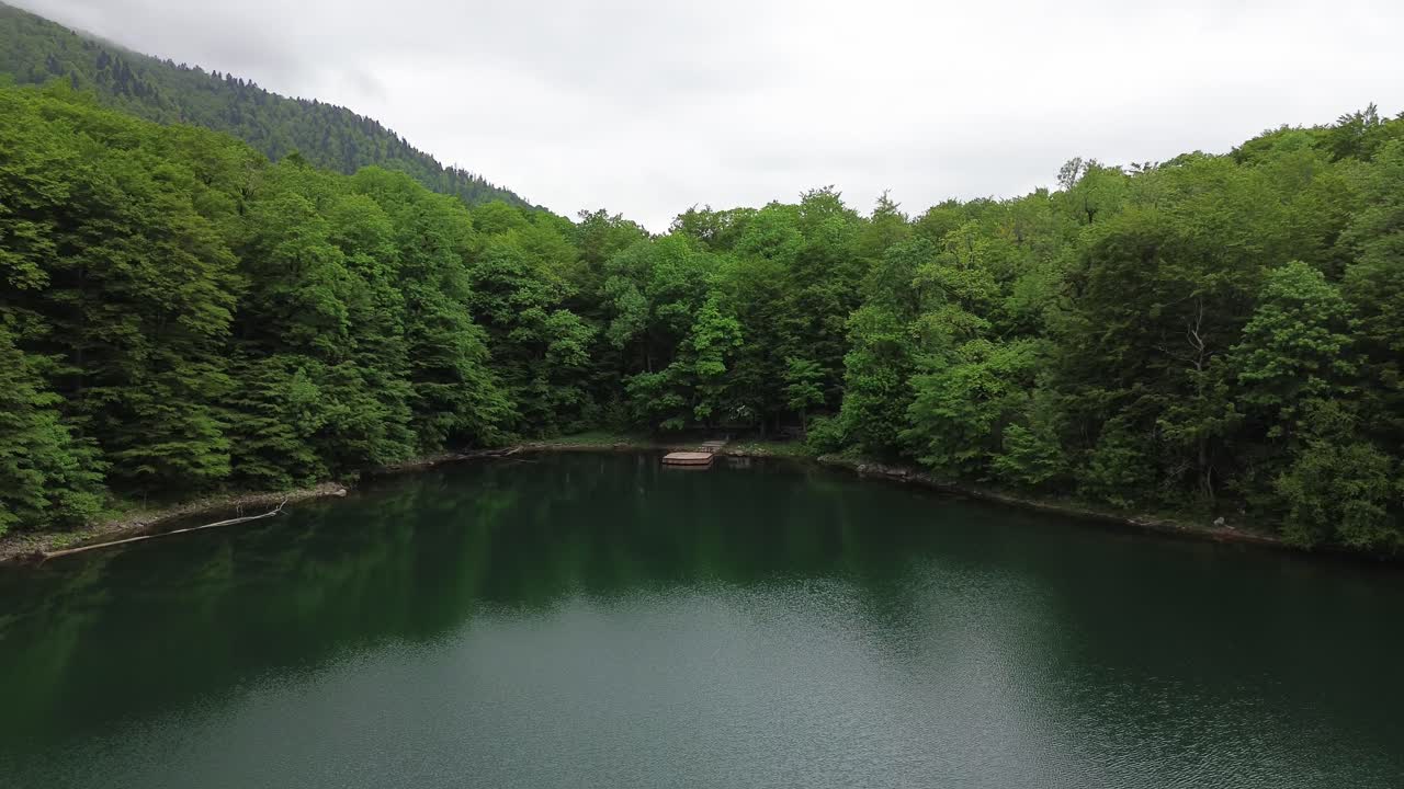 Glacial lake Biograd, Biogradska Gora National Park forest, drone