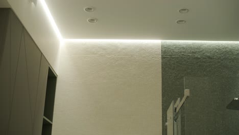 modern bathroom interior with mosaic tiles