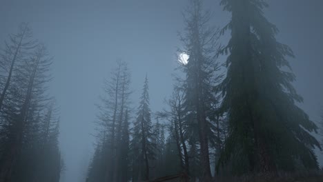 looped animation of flying through a scary forest with moon