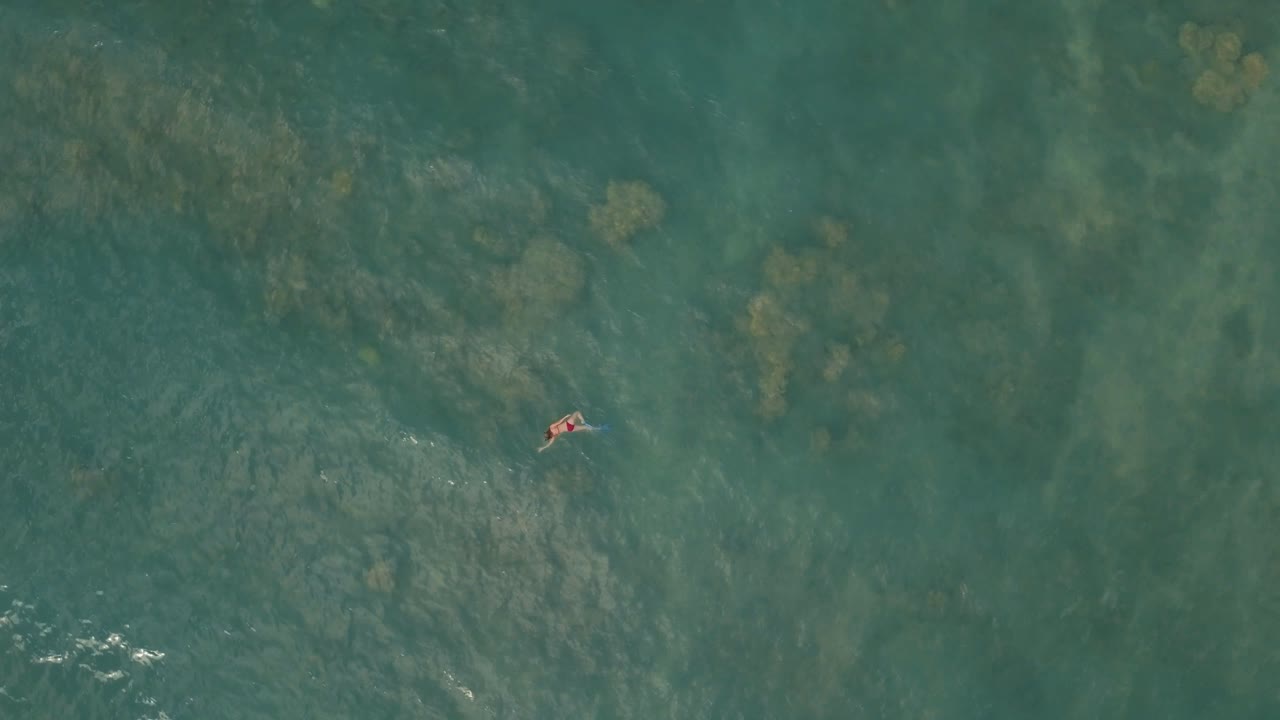 girl snorkeling over a nice reef in a beautiful blue ocean on a sunny day in Hawaii
