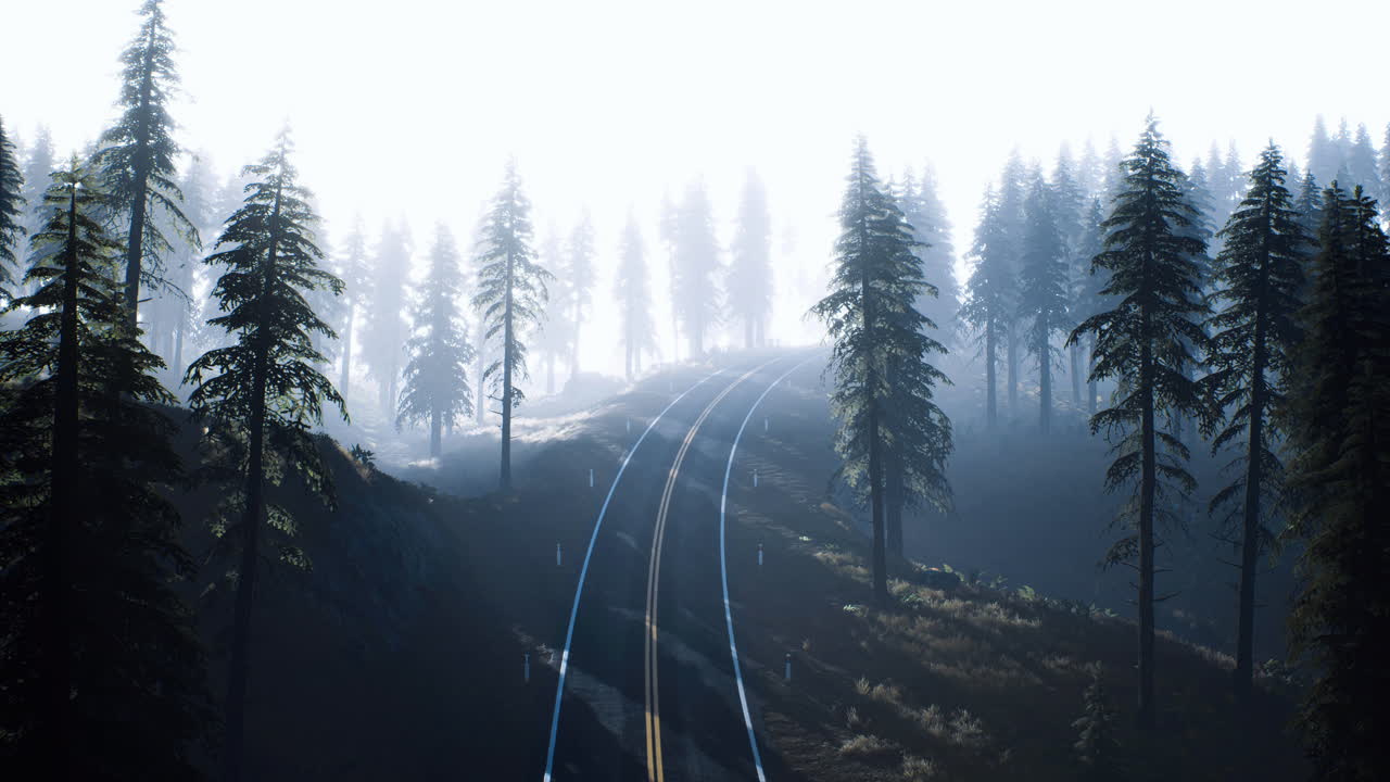 Tranquil railway track winding through misty forest landscape at dawn