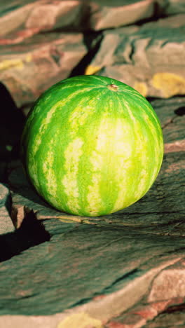 a watermelon on a stone surface