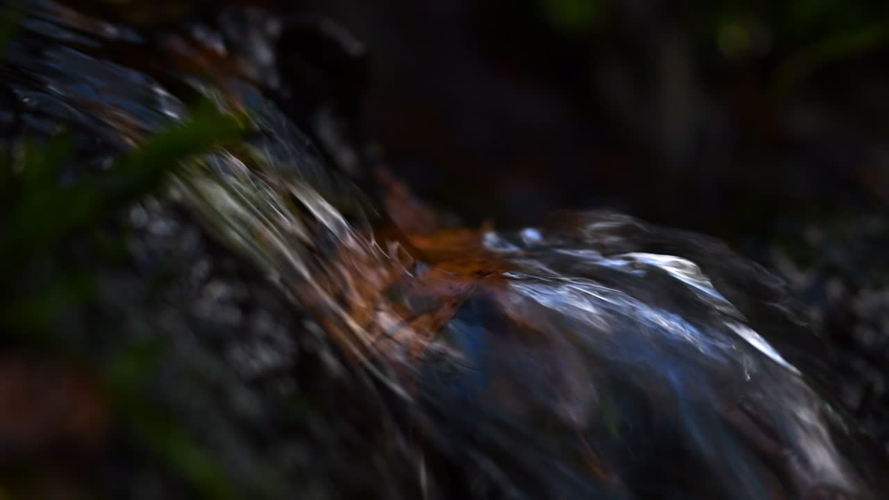 vídeo macro en cámara lenta de una cascada en miniatura con hojas de abedul de color otoñal en ella