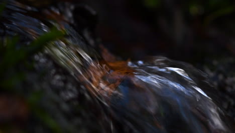 slow motion macro video of a miniature waterfall with autumn colored birch tree leaf in it