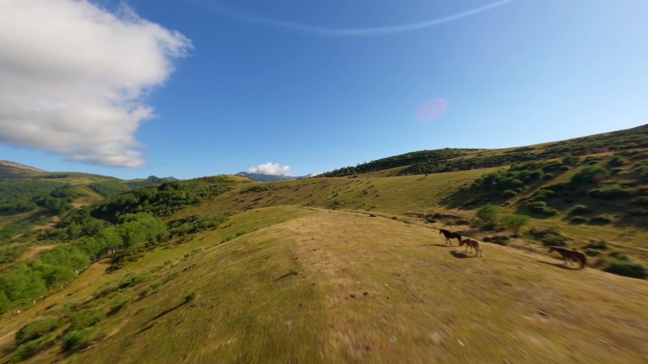 Drone FPV aereo che vola attraverso le valli lussureggianti e verdi di Coto Bello ad Aller, Asturie, Spagna settentrionale, con viste sul paesaggio montano