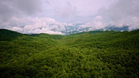wide aerial view of smoky ridges in soft light.