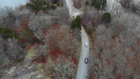 imágenes de seguimiento aéreo de dos automóviles conduciendo en una carretera típica sueca en el bosque-1