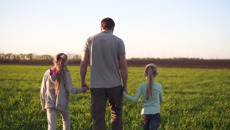 backside view of a strong, young father walking by a green meadow with two little daughters. holding them with hands from both sides. spring day. tracking footage