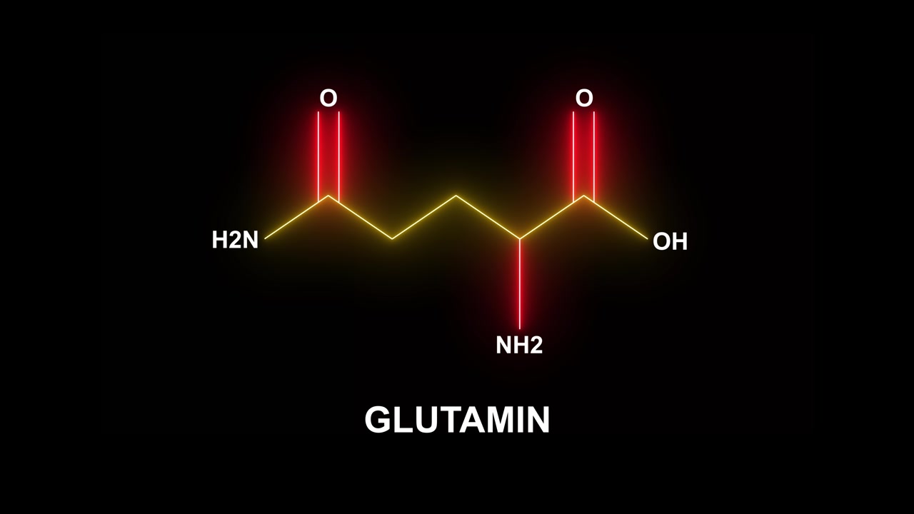 Struttura molecolare della glutammina