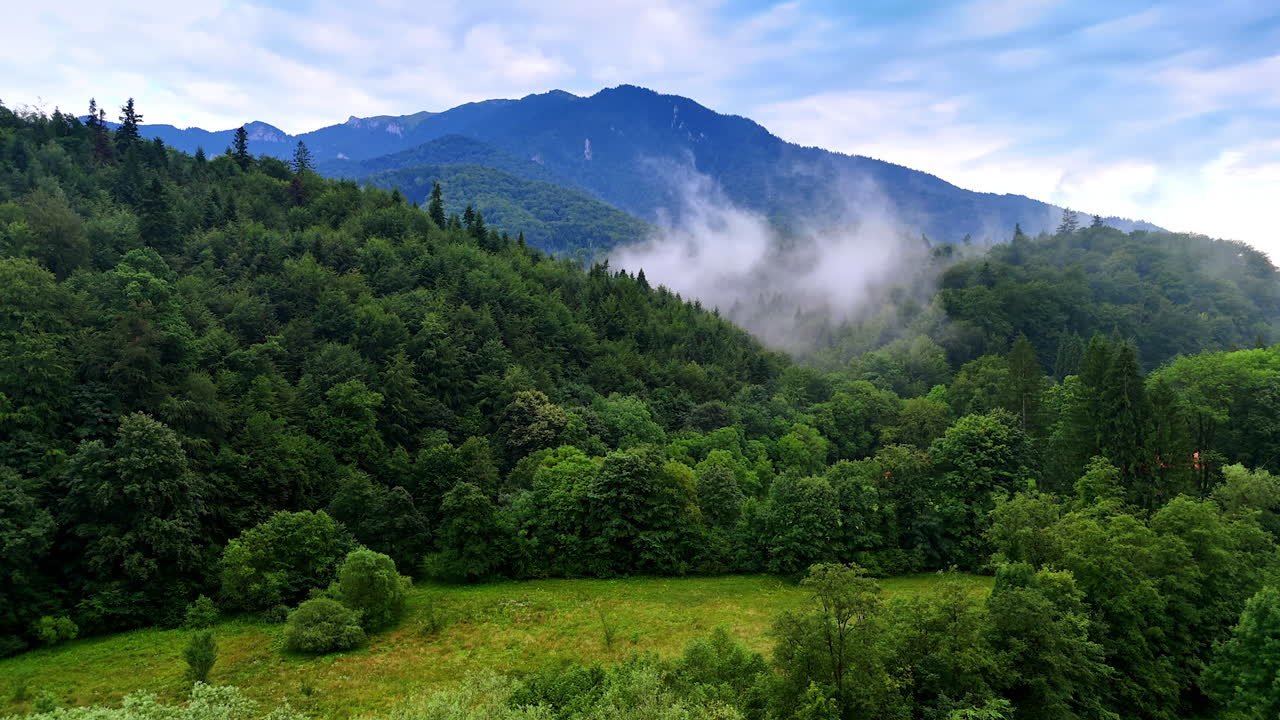 Green forest with mountains. Dense greenery fills the landscape under a cloudy sky, with mountains rising in the background and mist settling below