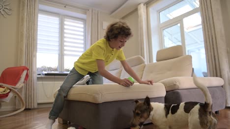 blond boy playing with his dog in the living room. the dog jumps on the couch and the boy throws the ball for the dog catch it