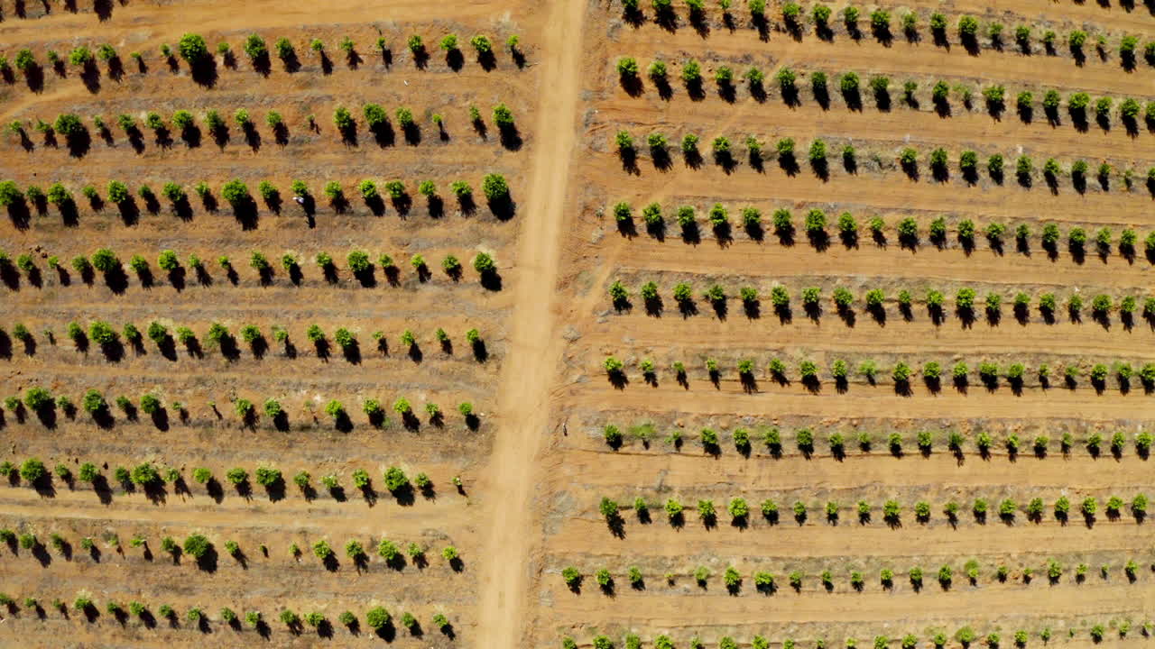 It's harvesting season