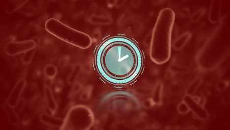 Animation-of-timer-spinning-over-biological-cells-floating-on-brown-background