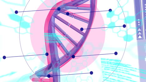 animation of medical data processing and dna strand spinning