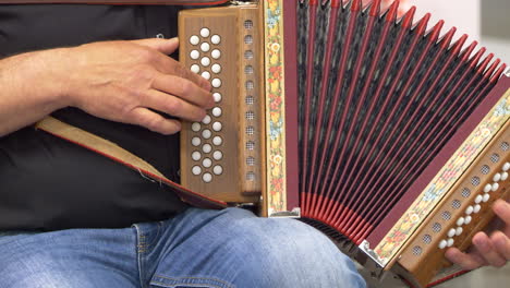 hombre en la calle de la ciudad tocando el acordeón durante el día soleado, primer plano