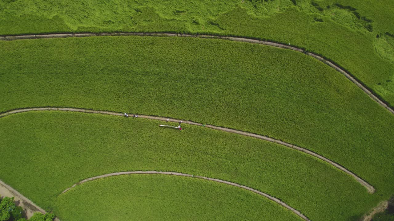 남미 의   의 공중 사진